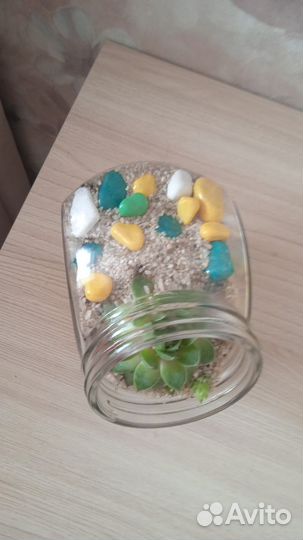 Флорариум мини
