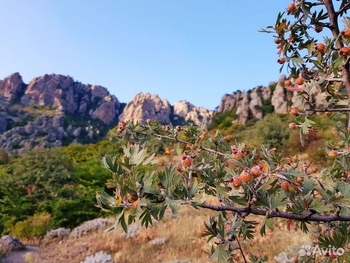 Экскурсия — Алушта — Треккинг на гору Демерджи