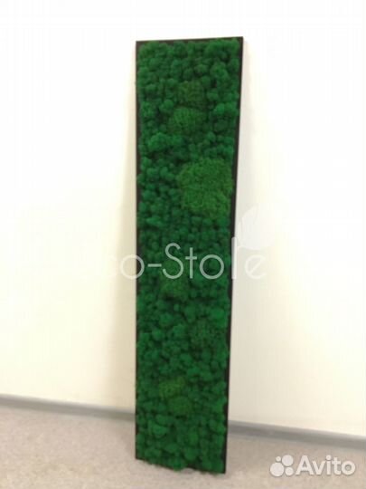 Стабилизированный мох.Буквы из мха. Логотип из мха