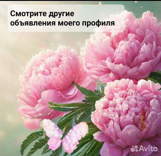 Тюльпанчики