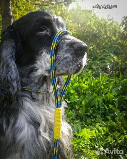 Поводки для собак
