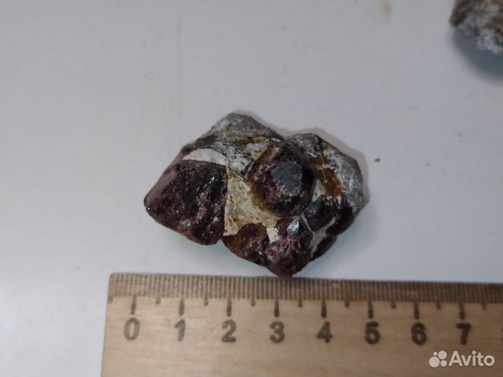 Грант разных видов