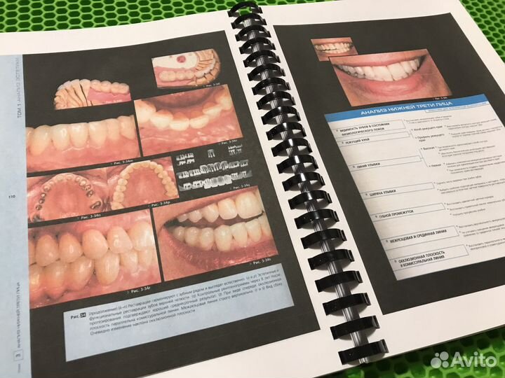 Анализ эстетики Фрадеани Том 1