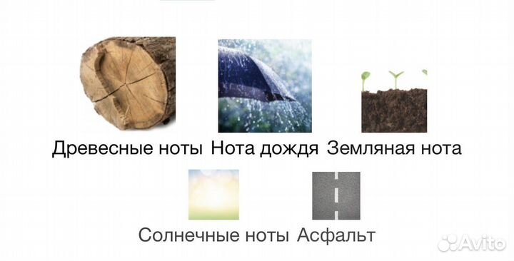 Mihan Aromatics Petrichor Plains распив