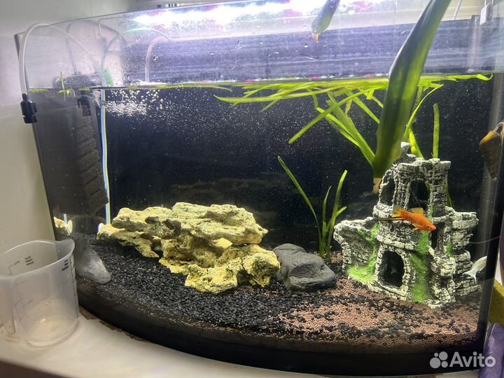 Аквариум на 60 литров