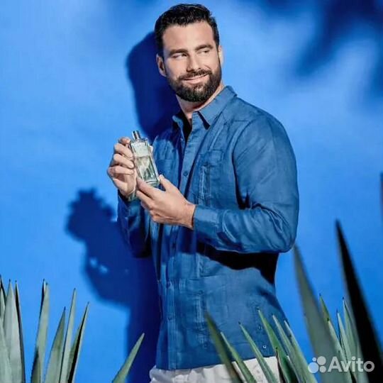 Туалетная вода Men's Collection Agave Power Менс К