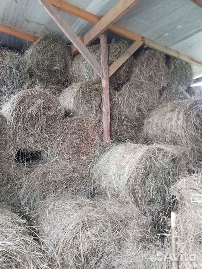 Сено в рулонах
