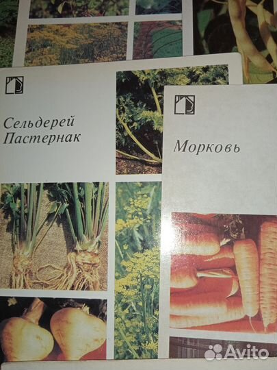Два комплекта открыток СССР