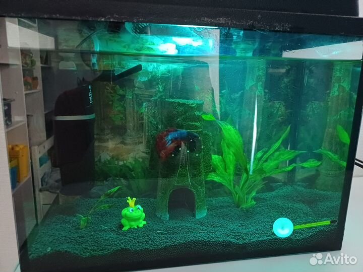Аквариум 25 литров