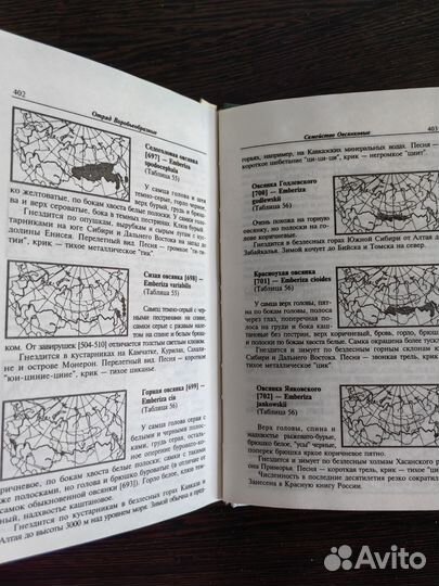 Энциклопедия природы России. Птицы