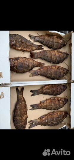 Карась горячего копчения