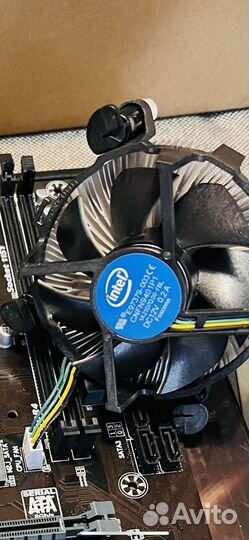 Intel celeron g4930 box 3200 мгц