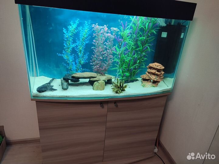 Аквариум с тумбой 200 л б/у