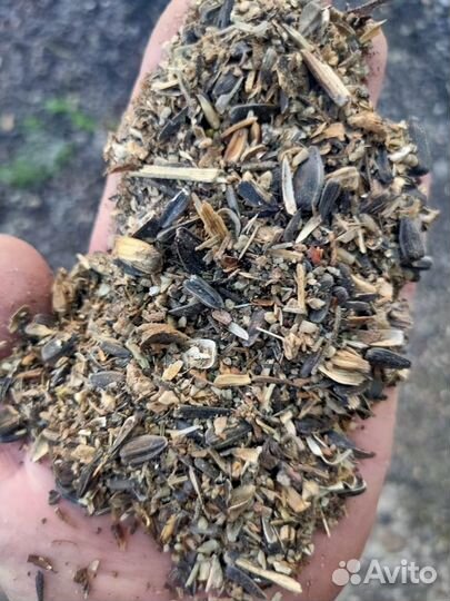 Продам зерновые отходы