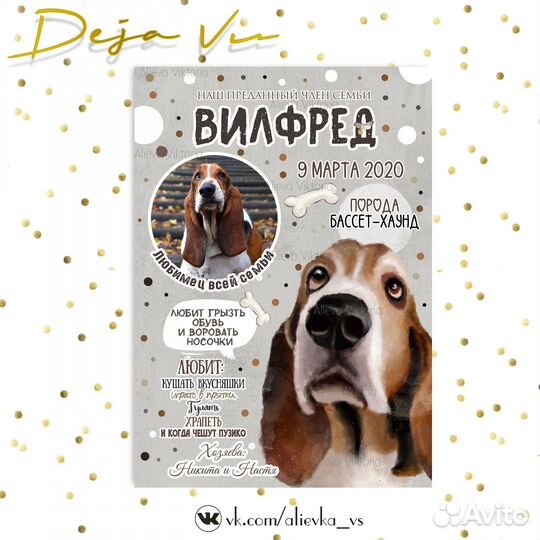 Метрика для питомца