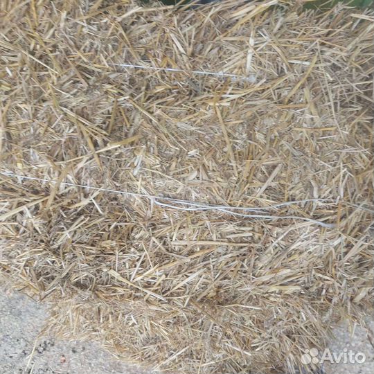 Солома в тюках, сено в тюках,сено в рулонах