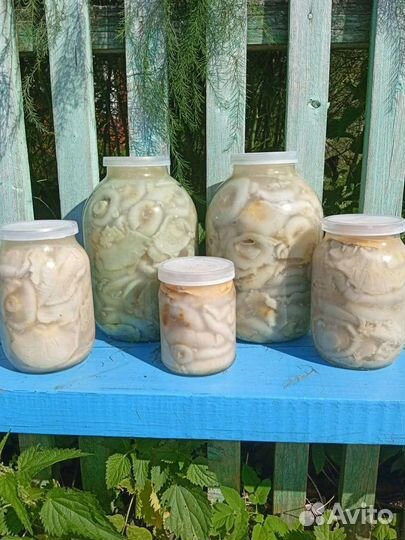 Грузди белые соленые