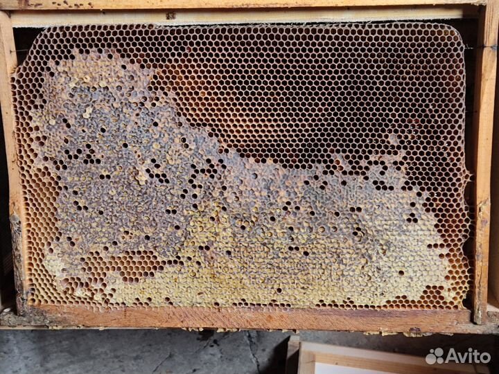 Рамки для пчел сушь