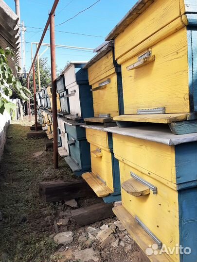 Ульи для ваших пчёлОк, б/у