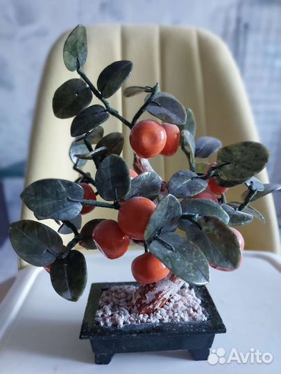 Дерево фен-шуй