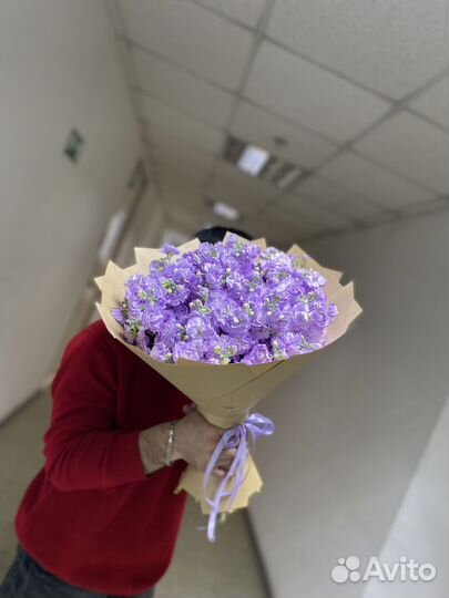 Букет из 15шт матиола/ букеты/ розы/ гипсофила