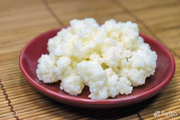 Молоч.гриб,Индий.морск.рис,Чайный гриб,Микрозелень