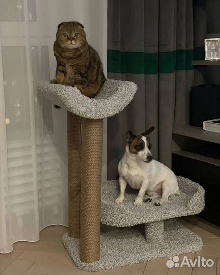 Когтеточка с диванчиком и лежанкой
