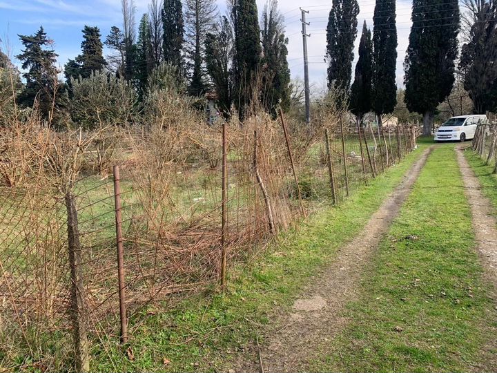 Участок 6 сот. (ИЖС)