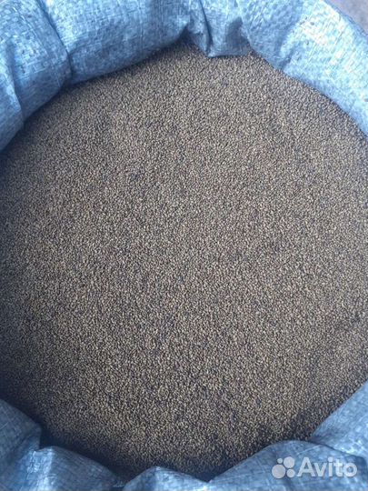 Семена люцерны