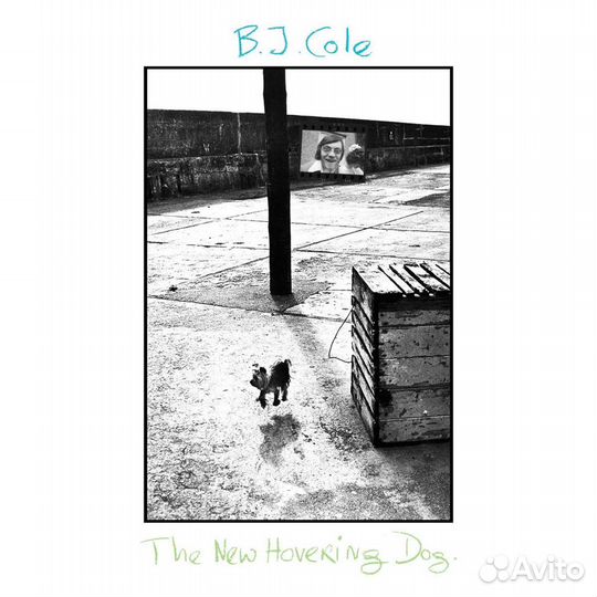BJ Cole - The New Hovering Dog (1 CD)