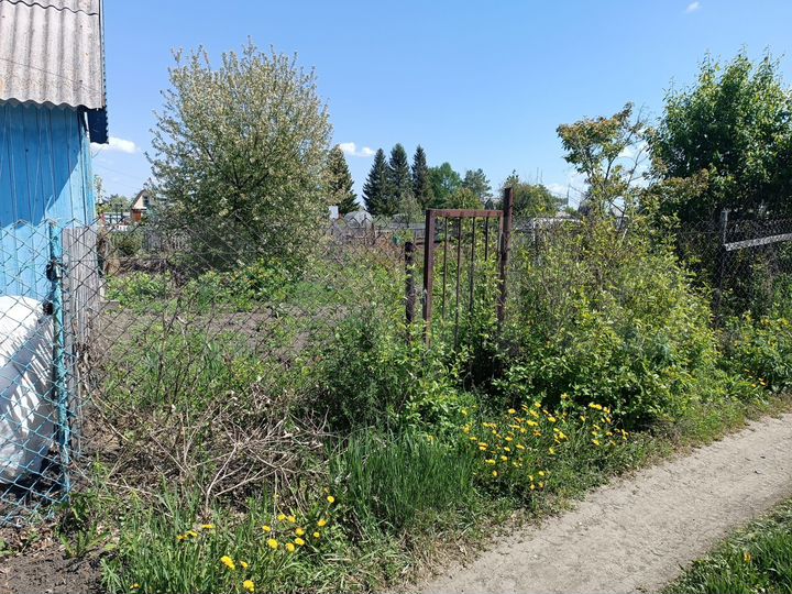 Участок 4 сот. (СНТ, ДНП)