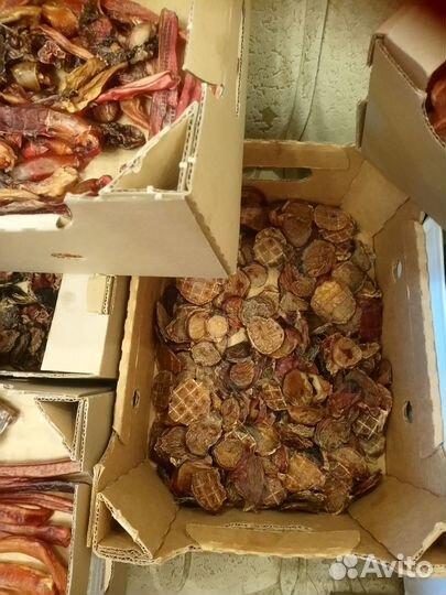 Сушеные лакомства для собак