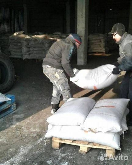 Грузчики с ежедневной оплатой