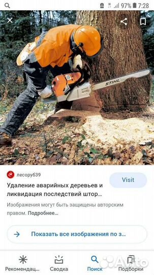 Спил деревьев