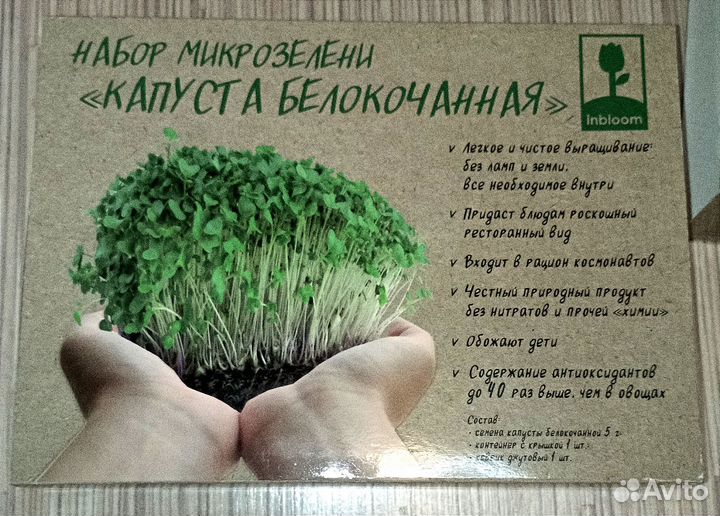 Inbloom Набор микрозелени Капуста б/к