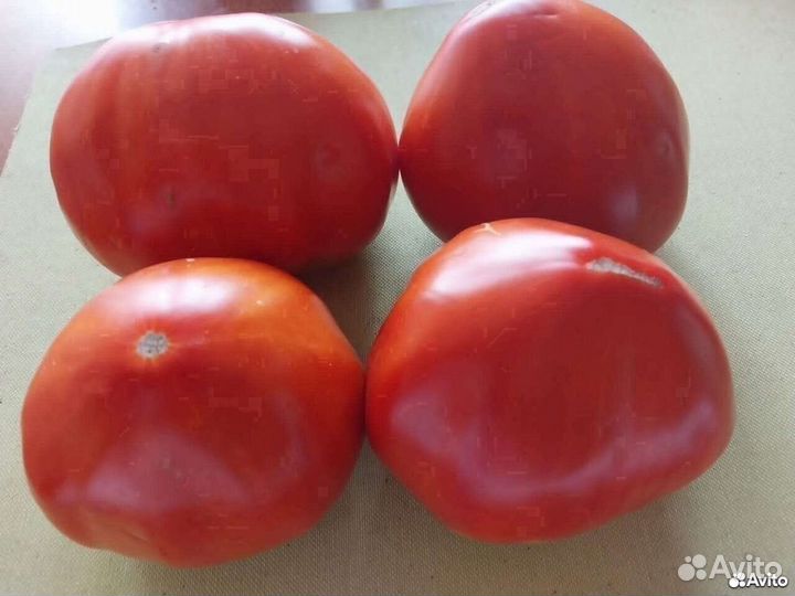 Семена помидор вкуснейших и урожайных 