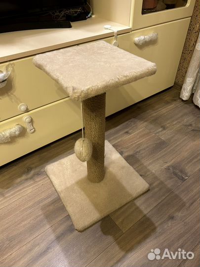 Когтеточка новая