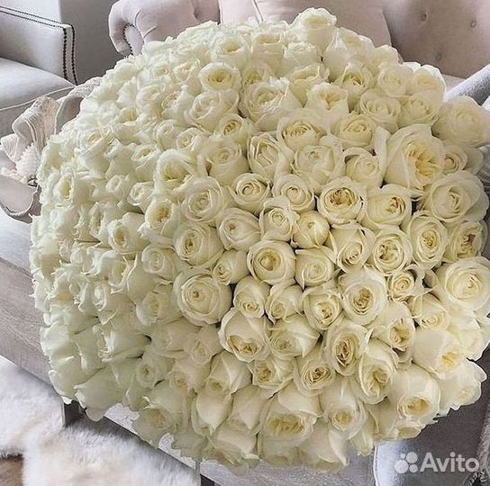 Высокие розы Гигантские Розы 150 160 170 180 190см