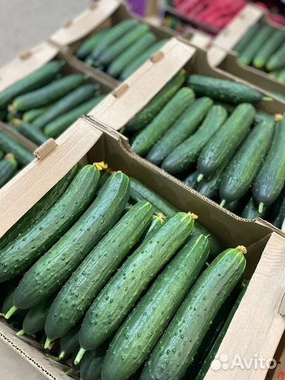 Овощи и фрукты оптом