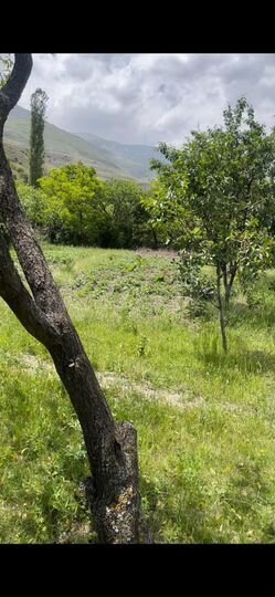 Участок 100 га (ИЖС)