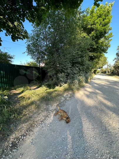 Дача 40 м² на участке 7 сот.