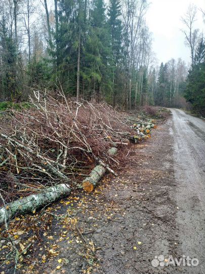 Измельчитель древесины