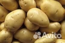 Картофель