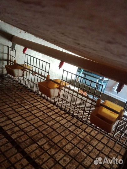 Клетка для птиц