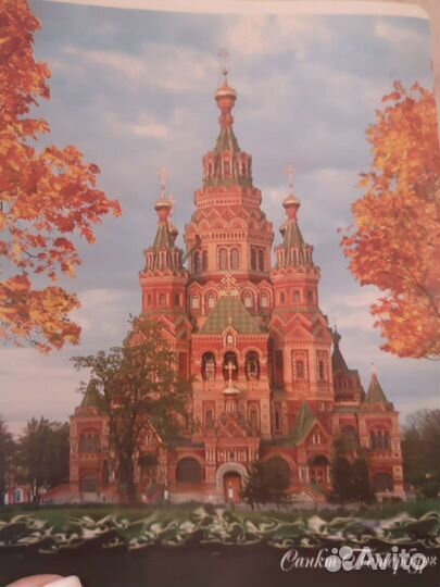 Тетрадь клетка 48 листов