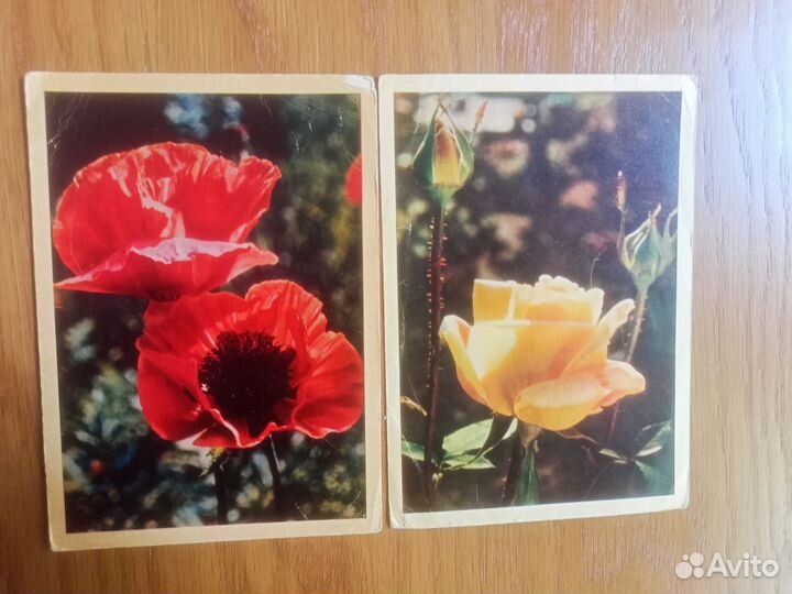 Открытки СССР