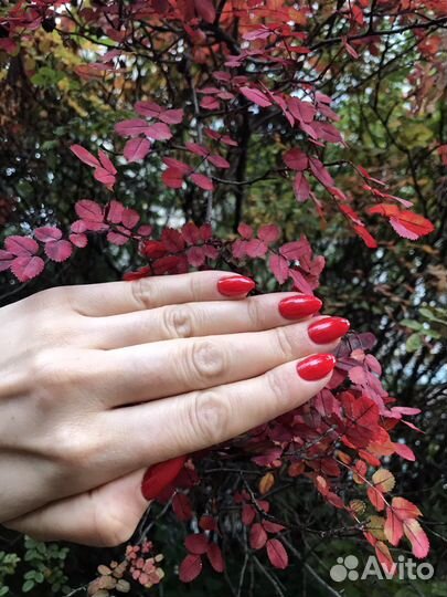 Маникюр с покрытием. Стерильно