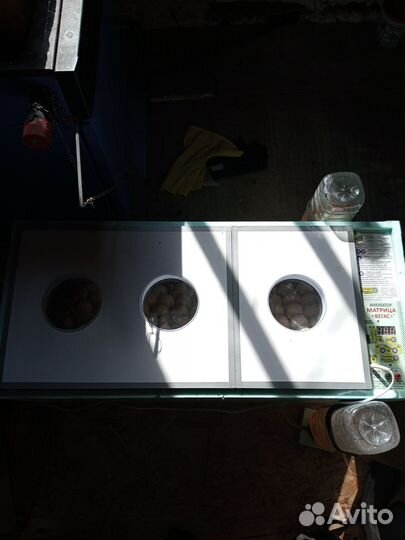 Продам инкубатор