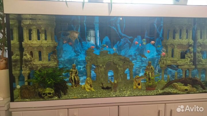Аквариум на 500 литров