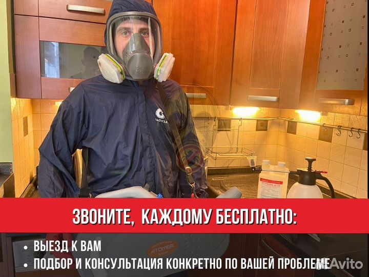 Дезинфекция